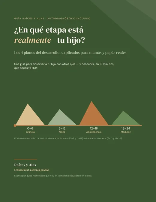 Portada de la guía Los 4 planos del desarrollo